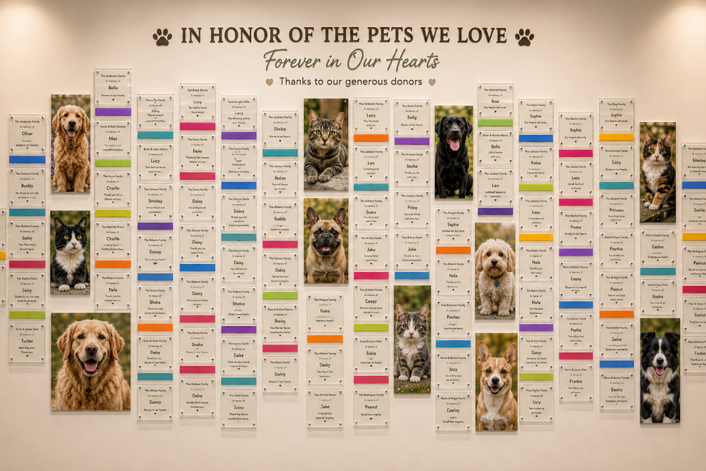 Honor Wall
